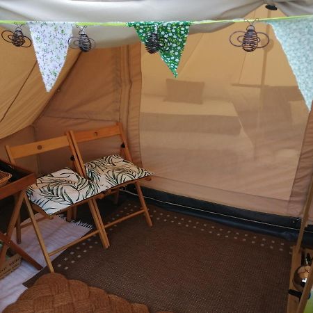 Coed Y Brenin Retreat - Bell Tent Glamping Near Aberaeron Ciliau Aeron Exterior photo