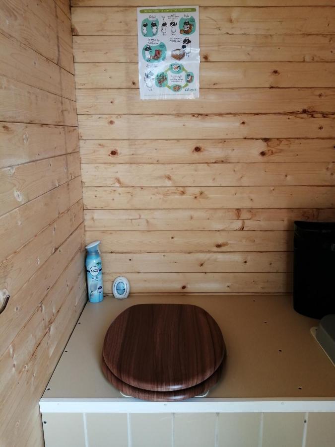 Coed Y Brenin Retreat - Bell Tent Glamping Near Aberaeron Ciliau Aeron Exterior photo